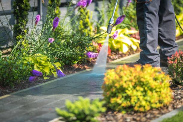 Best Pre-Holiday Cleaning  in Lindenhurst, IL
